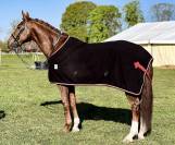 &Agrave; vendre &ndash; Hongre DWB (Danish Warmblood) - 7 ans