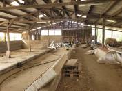 CORMOZ - Ferme bressanne