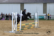 Poney B
