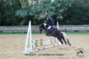 Poney B