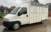 Camionette chevaux 