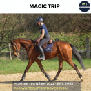 MAGIC TRIP - PS - 4 ANS