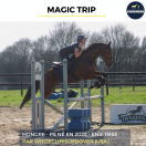 MAGIC TRIP - PS - 4 ANS