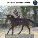 MYSTIC RIVER THOM