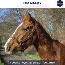 OMABABY - AQPS - 2 ANS
