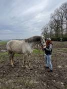 Bandi &ndash; Demi-pension &eacute;volutive (confiage possible)