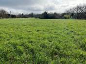 Propri&eacute;t&eacute; id&eacute;ale chevaux sur 6 ha proche BERGERAC (24)