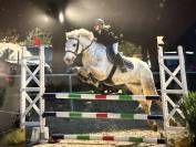 Maxi D &agrave; vendre