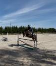Poney D 4 ans
