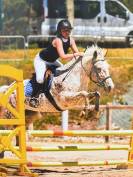 Jument pour poulini&egrave;re ou compagnie 