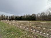 Pension cheval &agrave; Vimory (45700)