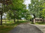 Ecurie professionnelle avec habitations cl&eacute; en main