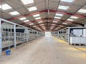 Haras d&rsquo;exception &ndash; 66 hectares, installations r&eacute;centes