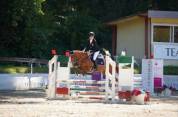 PONY ITALIANA 9 ANNI