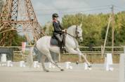 Ruin Lusitano Te koop 2012 Schimmel