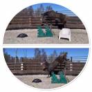 Jument BWP - Corland x Heartbreaker - Pleine Jenson van