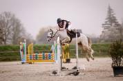 Love You of C&eacute; &ndash; Poney C d&rsquo;Avenir pour Jeune Cavalier A