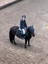 &Agrave; vendre super poney pour enfant 116-128cm