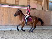 &Agrave; vendre ou &agrave; confier pour un an 