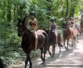 &Agrave; vendre ou &agrave; confier pour un an 