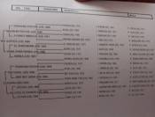 2 &eacute;talons PALOMINO  et ARABE 