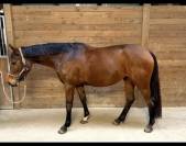 4 ans gros papiers pr&ecirc;te &agrave; pr&eacute;former