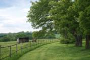 Equestrian property  Orne