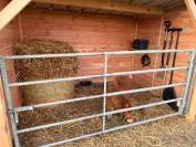 Abri pour poney