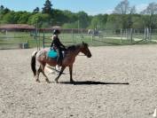 PONETTE APPALOOSA ONCP