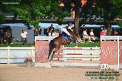 Pony Castrone  Francese Baio 10 anni Esperto