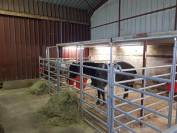 AEDL Association &Eacute;questre du Domaine du Loup