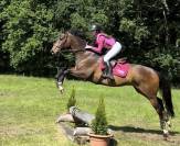 Cheval &agrave; Vendre 