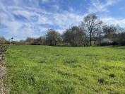 Belle propri&eacute;t&eacute; agricole &agrave; Montagne (Saint-Emilion)