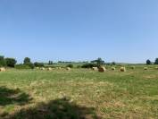 Belle propri&eacute;t&eacute; agricole &agrave; Montagne (Saint-Emilion)