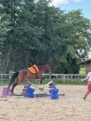 Cheval &agrave; vendre 