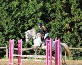 Ponette de 9 ans &agrave; vendre 