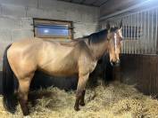 &Agrave; vendre Galileo 