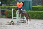 Pony classe B h 123cm 8 anni 