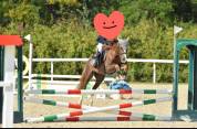 Pony classe B h 123cm 8 anni 