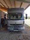 Camion per Cavalli Renault middlum 2006 Occasione
