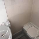 Camion per Cavalli Renault middlum 2006 Occasione