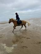 DP ballade travail &agrave; pied carri&egrave;re 