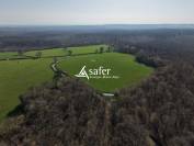 Exploitation avicole / bovin - Secteurs Moulin Montlu&ccedil;on