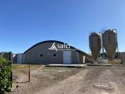 Exploitation avicole / bovin - Secteurs Moulin Montlu&ccedil;on