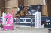 Top hongre de 9 ans pour Amateur &eacute;lite