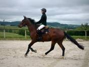 ? Koctel Nivernais ? 