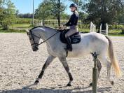  A VENDRE JUMENT 6 ANS 