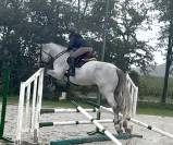  A VENDRE JUMENT 6 ANS 