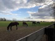 Pension Pr&eacute; proche Deauville