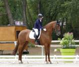 Poulini&egrave;re top origines